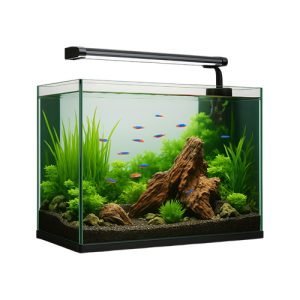 From beginner setups to advanced custom tanks, we offer durable, high-quality aquariums. Designed to fit beautifully into your home or office, they provide the foundation for thriving aquatic life. Start your underwater world today.