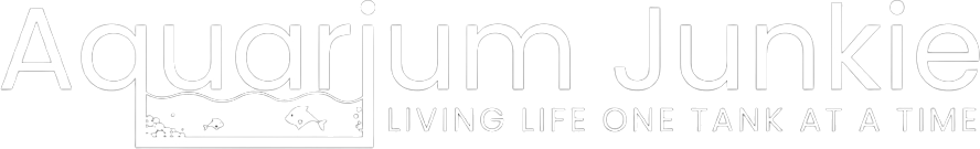Aquarium Junkie | Aquarium Cleaning Douglasville GA