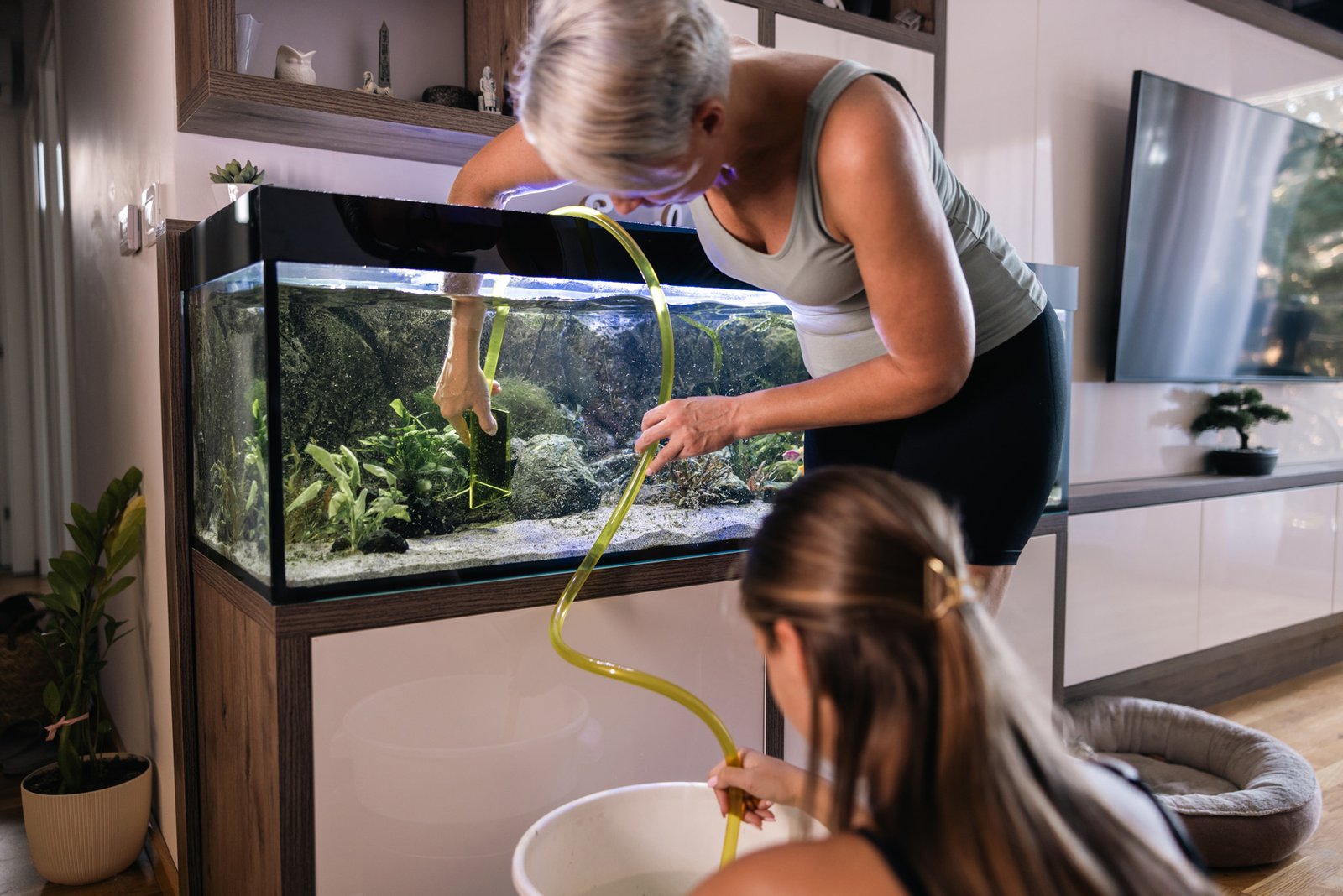 Aquarium Junkie providing regular aquarium maintenance in Douglasville GA with water testing, algae removal, filter cleaning, and fish health checks.